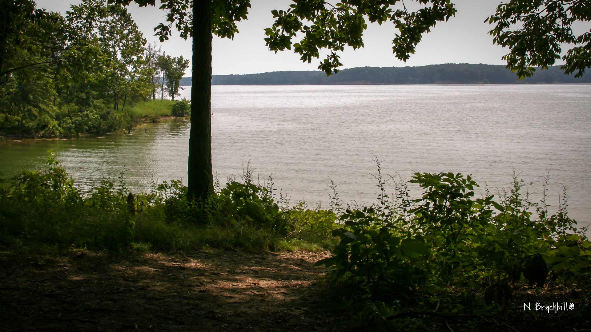 nature-trails-lake-shelbyville